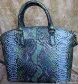 Brahmin Duxbury