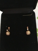 Earrings gold